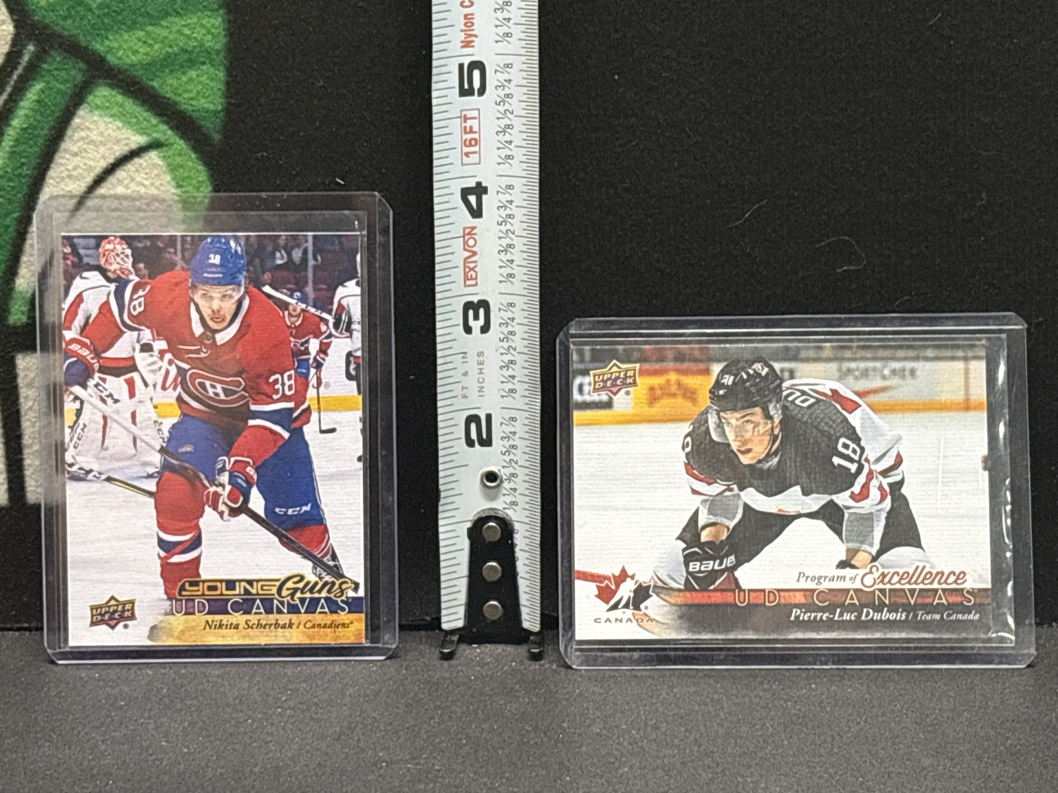 LOT 2026-426 — Deux cartes de hockey Upper Deck UD Canvas, protégées dans des boîtiers… — photo 1