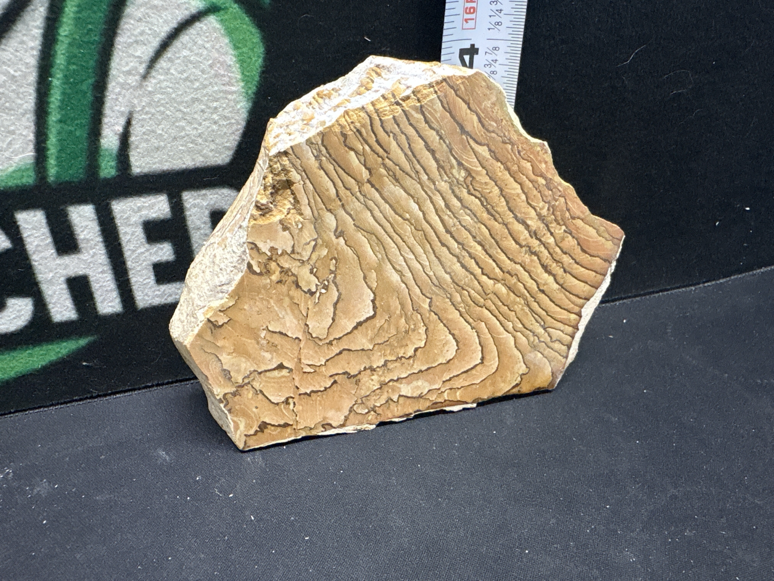 LOT 2026-456 — PIERRE NATURELLE DÉCORATIVE – STYLE JASPE PAYSAGE — photo 1