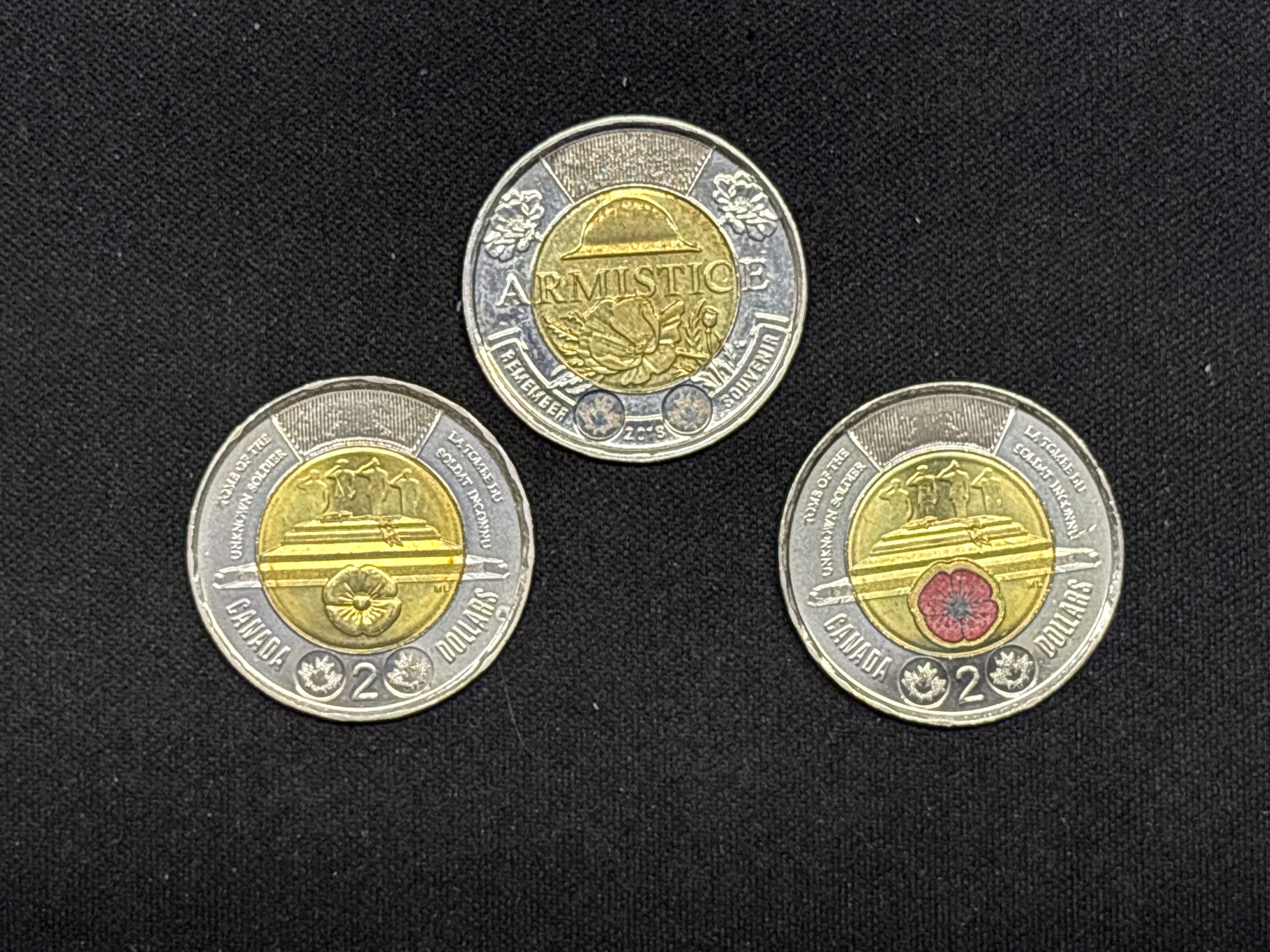 LOT 2026-909 — Lot de 3 pièces de 2 dollars canadiennes bimétalliques, présentant des motifs… — photo 1